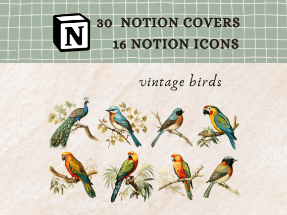 Vintage Birds Notion Icons