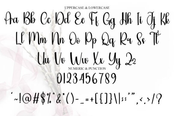 Bestia Font - Preview 4