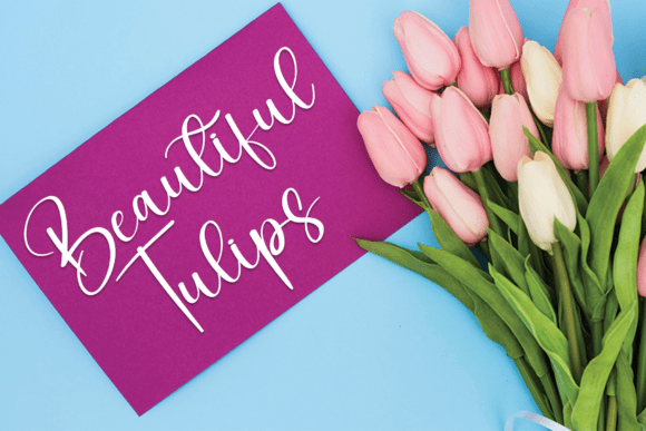 Elegant Font - Preview 4