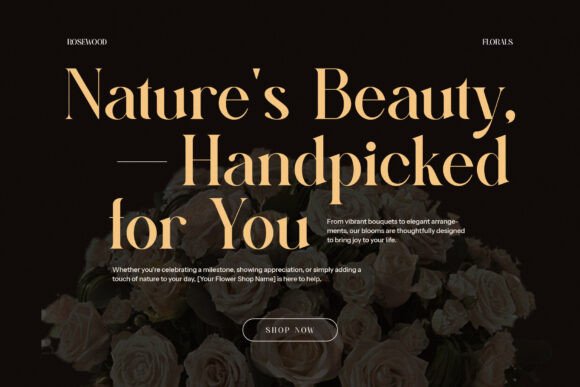Bager Newton Font - Preview 5