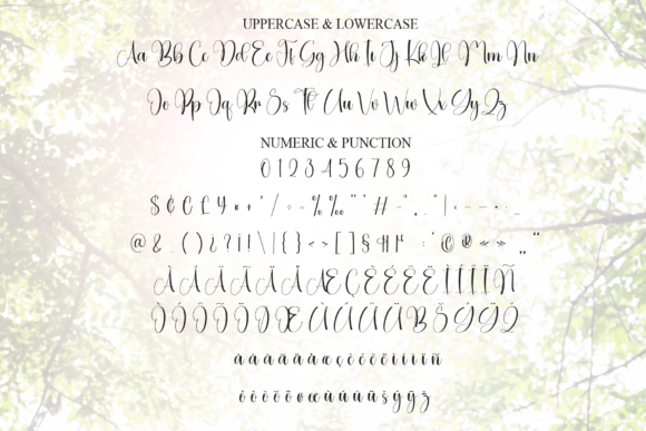 Brightson Font - Preview 6