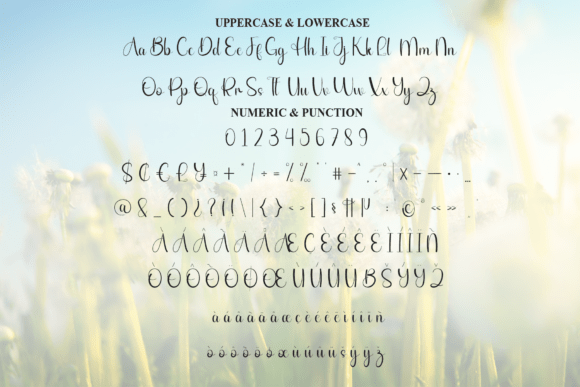 Dandelion Font - Preview 6