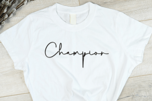 Beautiful Charming Font - Preview 1