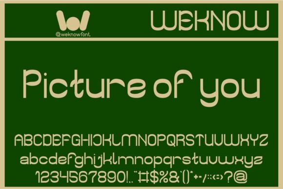 Portrait Photography Font PNG with transparent background - Preview 4