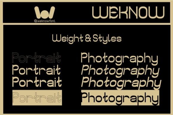 Portrait Photography Font PNG with transparent background - Preview 5