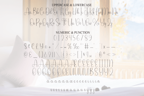 Homestay Font - Preview 6