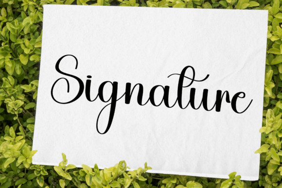 Grand Stylish Font PNG with transparent background - Preview 4