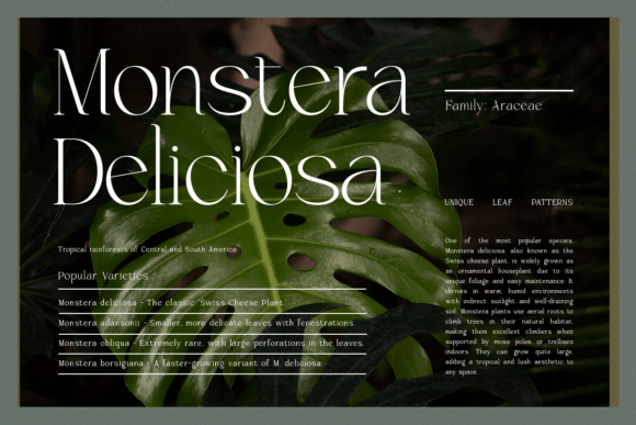Brikelia Font - Preview 1