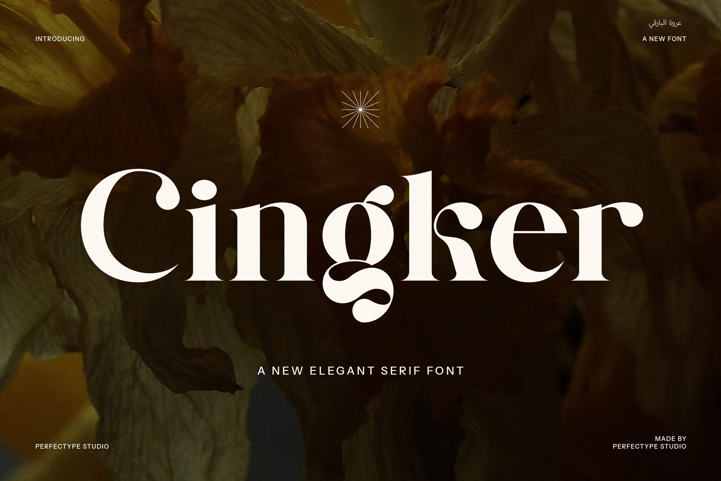 Preview of the Cingker display serif font