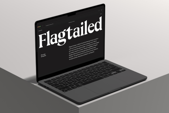 Flagtail Display Font PNG with transparent background - Preview 6