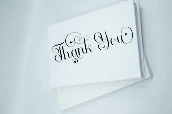 Angelina Script Font - Preview 3