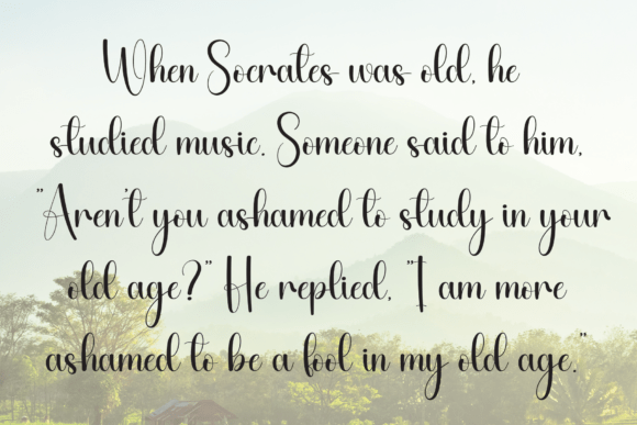 Darling Signature Font - Preview 5