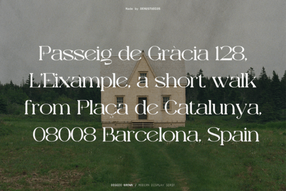 Diggie Brown Font - Preview 4