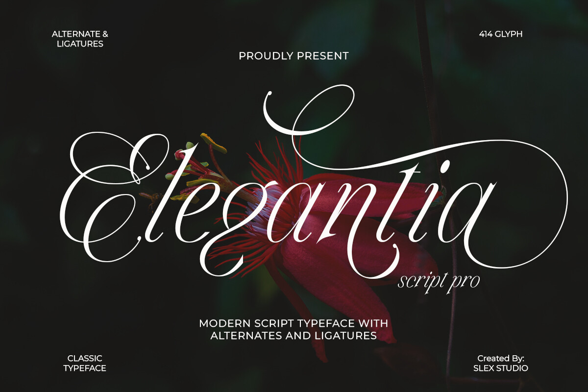 Elegantia font preview — refined sophisticated script typeface for fashion branding and editorial headers