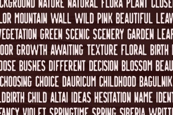 Hamtur Georgen Font - Preview 5