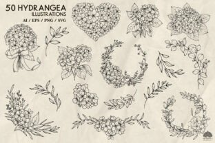 Hydrangea Line Drawing Svg Graphic by HappyWatercolorShop · Creative ...