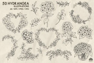 Hydrangea Line Drawing Svg Graphic by HappyWatercolorShop · Creative ...
