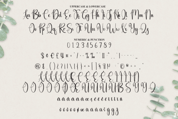 Autography Font - Preview 5