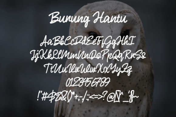 Burung Hantu Font - Preview 1