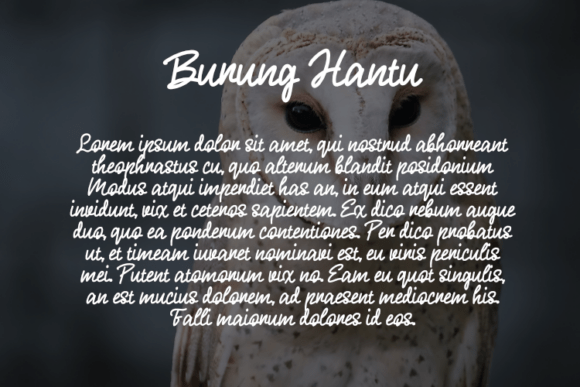 Burung Hantu Font - Preview 2
