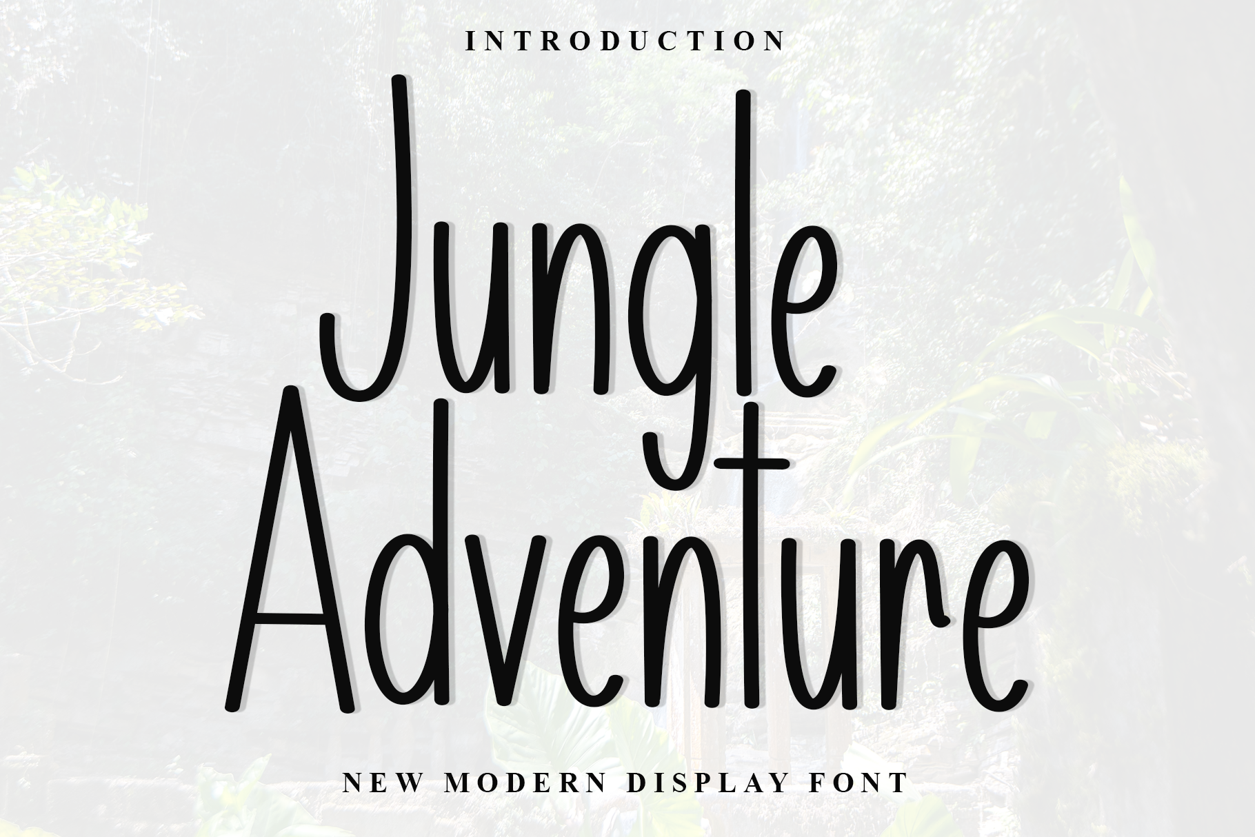 Jungle Adventure