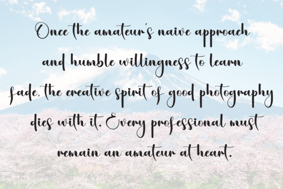 Aesthetic Font - Preview 5