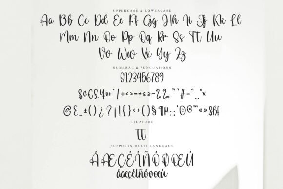 Artistic Signature Font - Preview 5