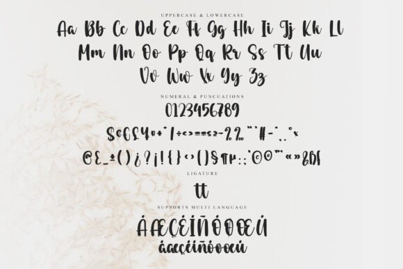 Authentic Signature Font - Preview 5