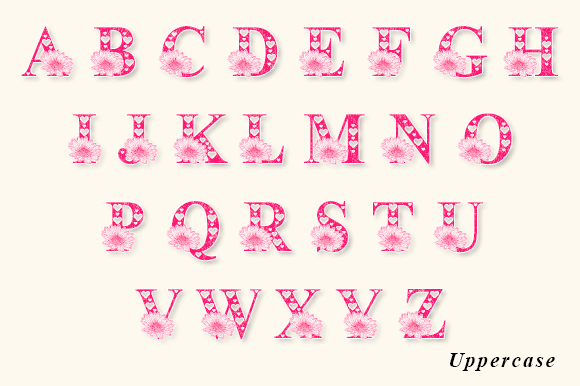 Citra Daisy Monogram Font PNG with transparent background - Preview 5