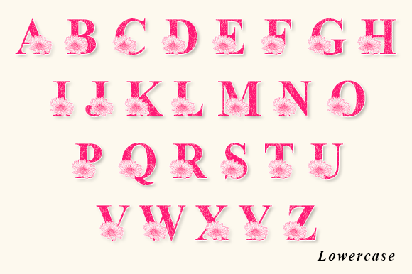 Citra Daisy Monogram Font PNG with transparent background - Preview 6