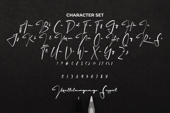 Handle Pen Font - Preview 2