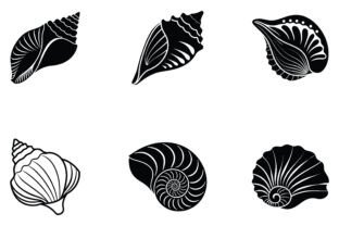 Sea Shell Svg Bundle Graphic by aurnobnandy · Creative Fabrica