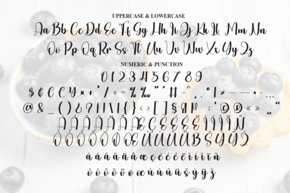 Blueberry Font - Preview 6