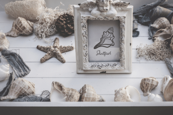 Shellfish Summer Font PNG with transparent background - Preview 4