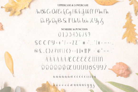 Autumn Font - Preview 6