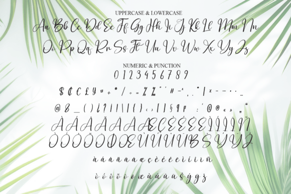 Bold Font - Preview 6