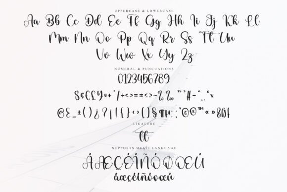 Delight Farmhouse Font - Preview 5