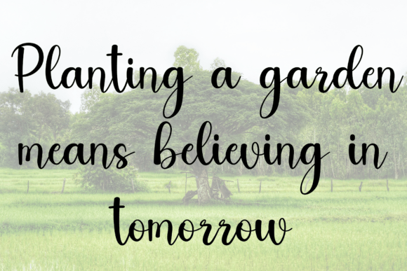 Farmhouse Font - Preview 2