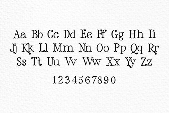 Gentle Serif Font PNG with transparent background - Preview 1