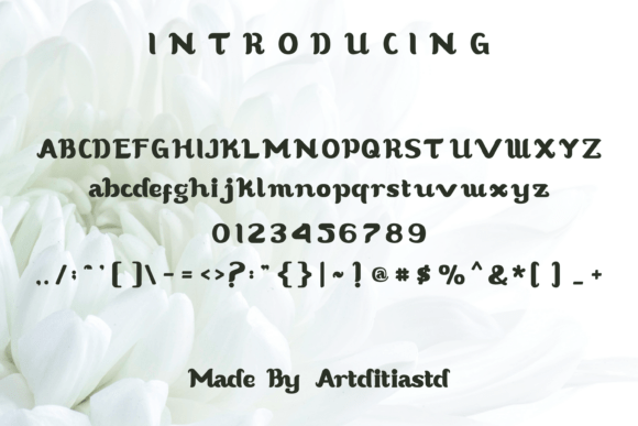 Anum Font - Preview 1