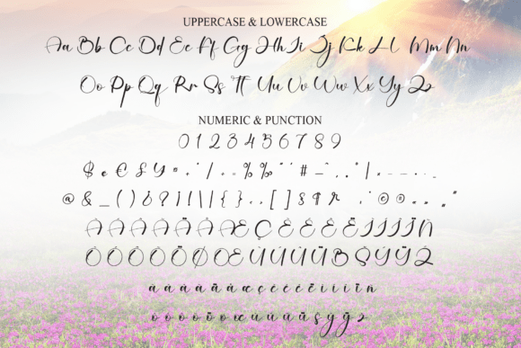 Beautiful Font - Preview 6
