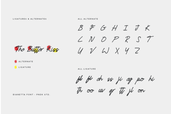 Bianetta Font - Preview 4