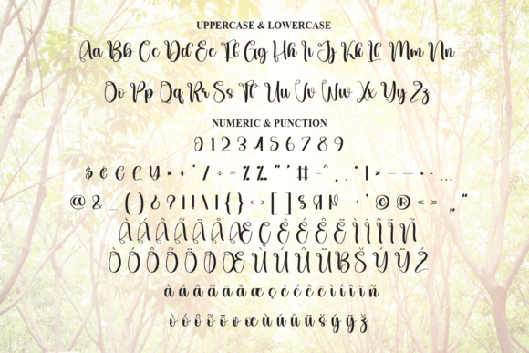 Bright Harmony Font - Preview 6