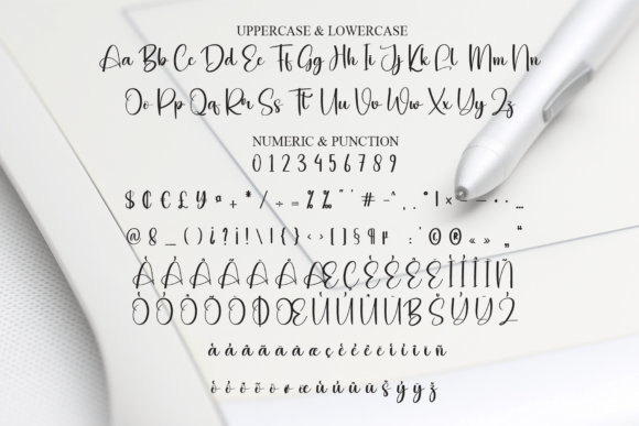 Digital Signature Font - Preview 6