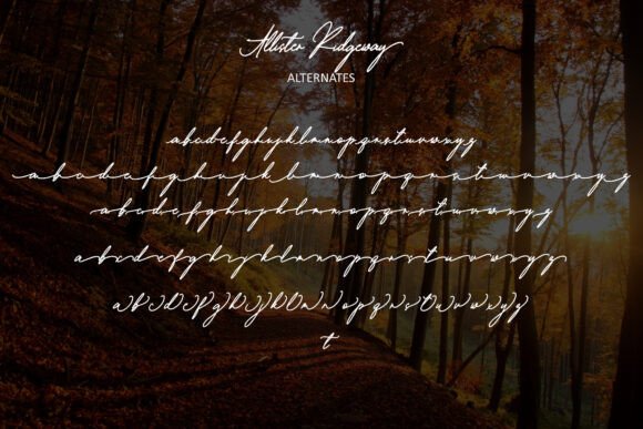 Allister Ridgeway Font - Preview 3
