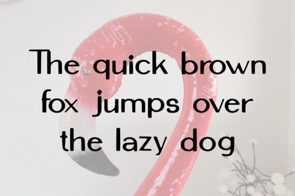 Flamingo Gary Font PNG with transparent background - Preview 2