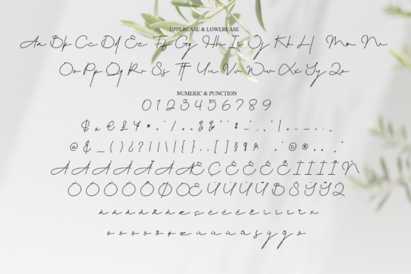Agatha Font - Preview 6