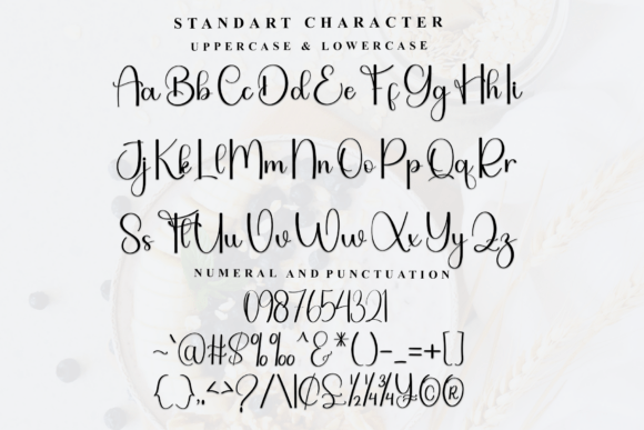 Bushing Font - Preview 4