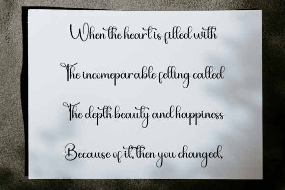 Bushing Font - Preview 6