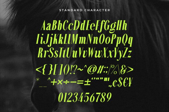 Alterosa Font - Preview 1